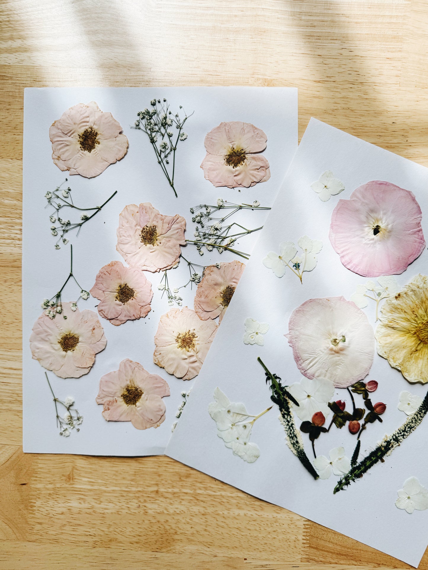 Extra Pressed Flowers (Add-on)