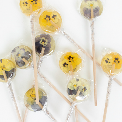 Hard Nectar Artisanal Pressed Flower Lollipops