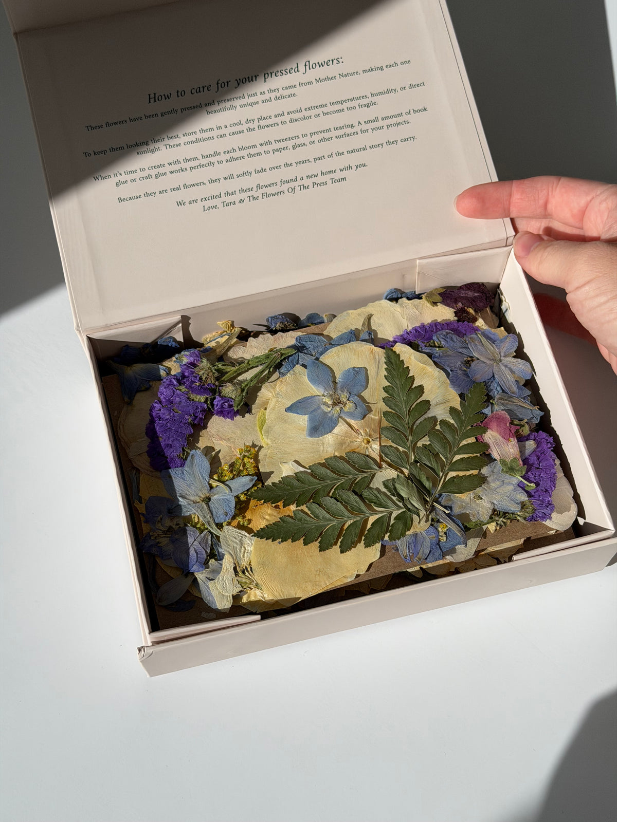 Pressed Flower Boxes