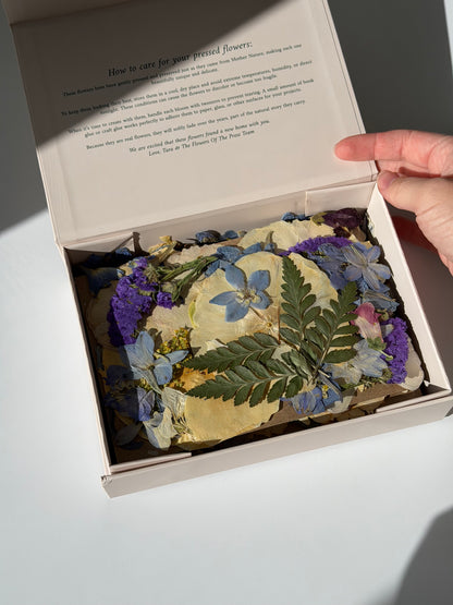 Pressed Flower Boxes