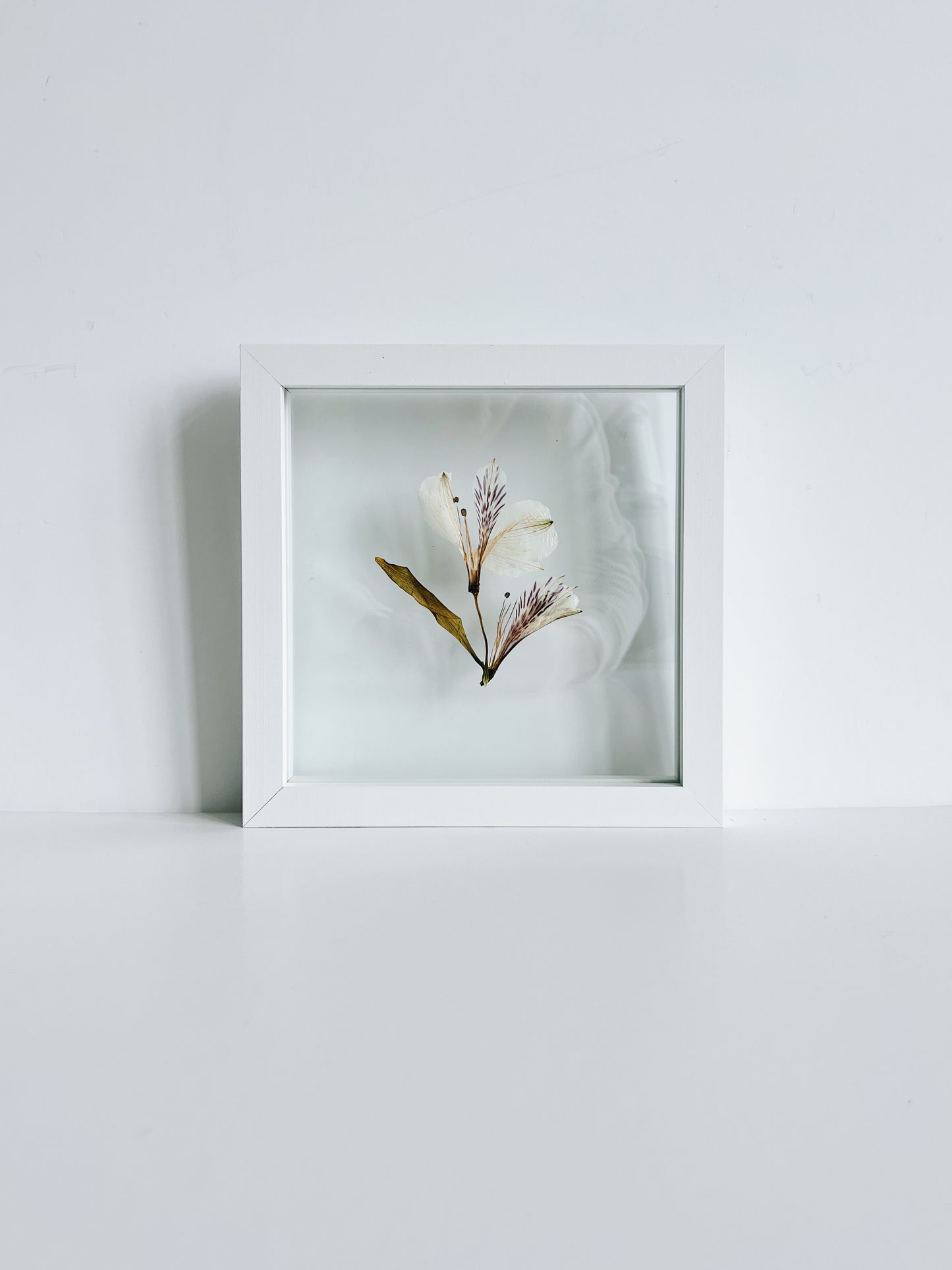 8x8 Single Flower