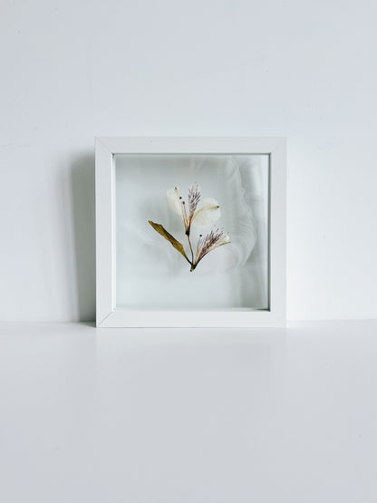 8x8 Single Flower