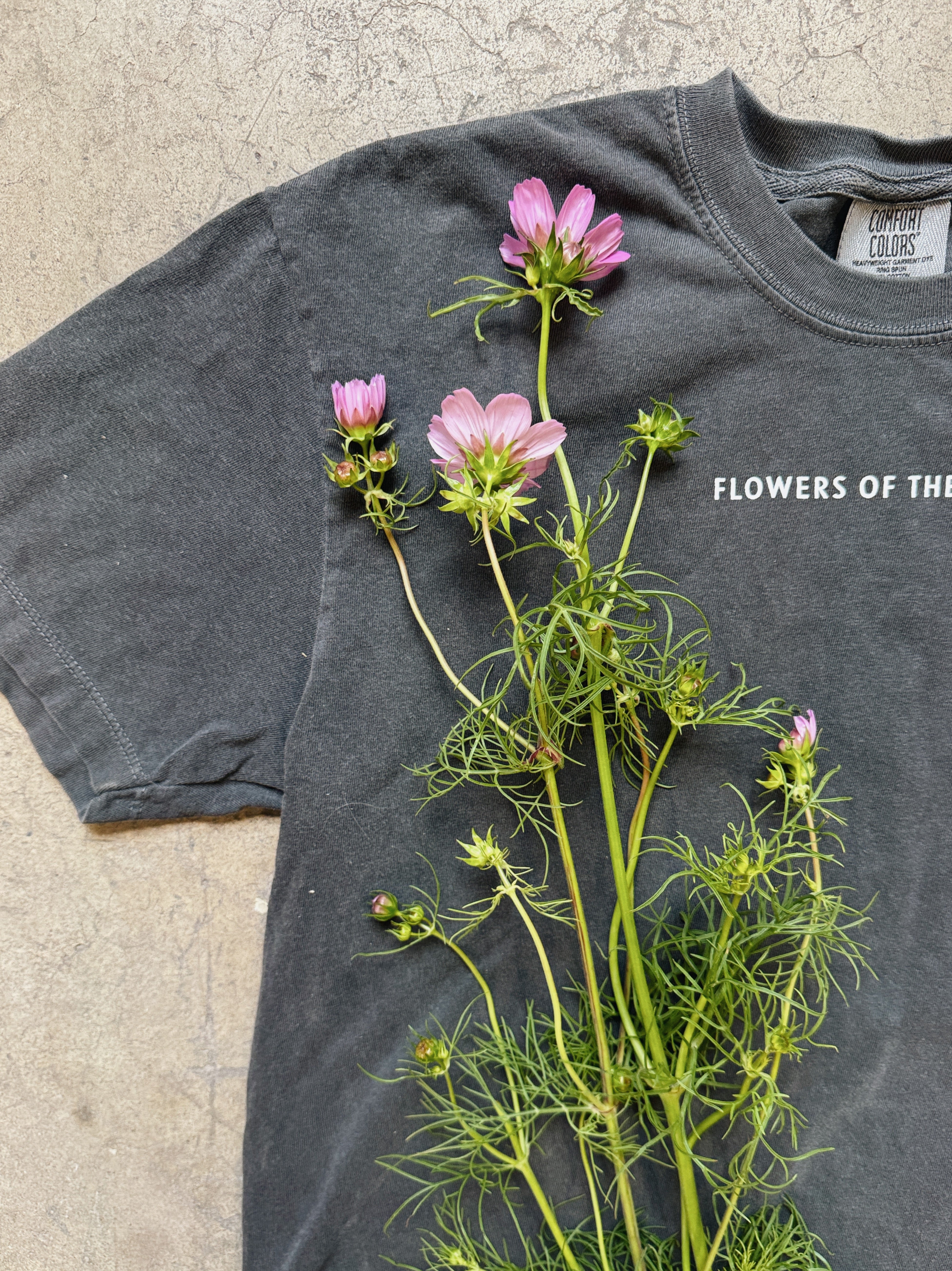 Short Sleeve FOTP Graphic Tee – Flowers Of The Press