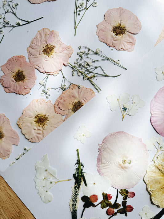 Extra Pressed Flowers (Add-on)