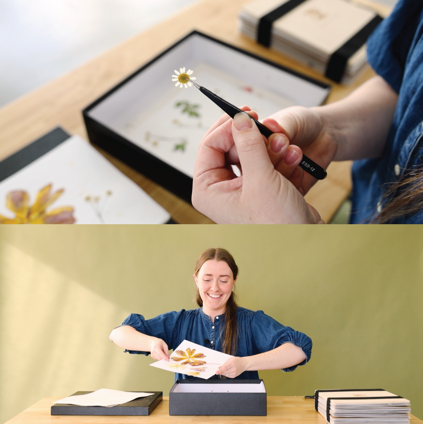 The Art Of Floral Preservation: An Online Workshop
